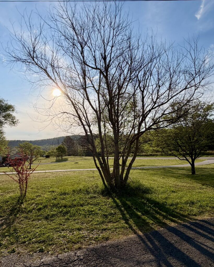 ringgold ga 12