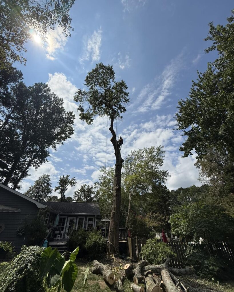 ringgold ga 5