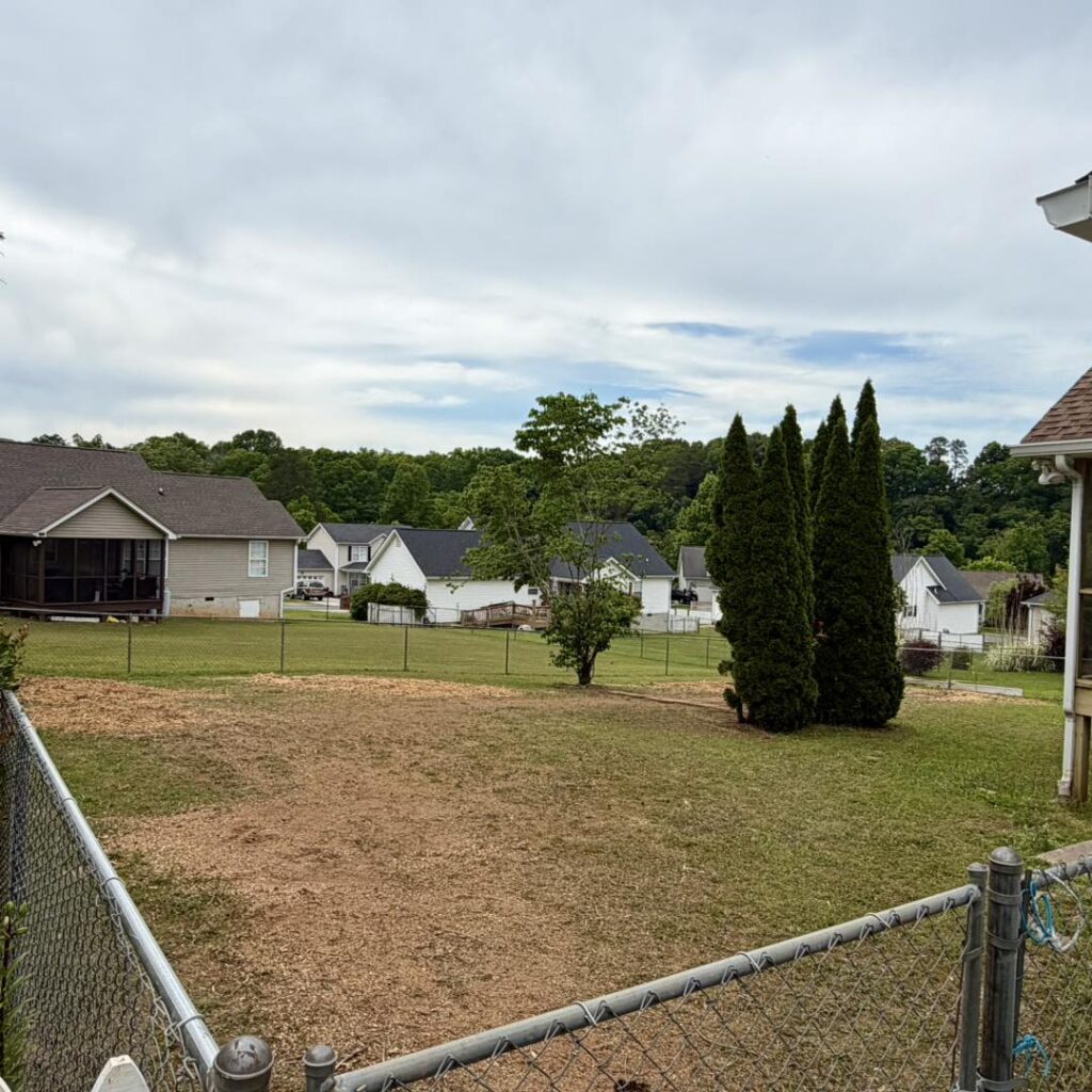 ringgold ga evergreen2