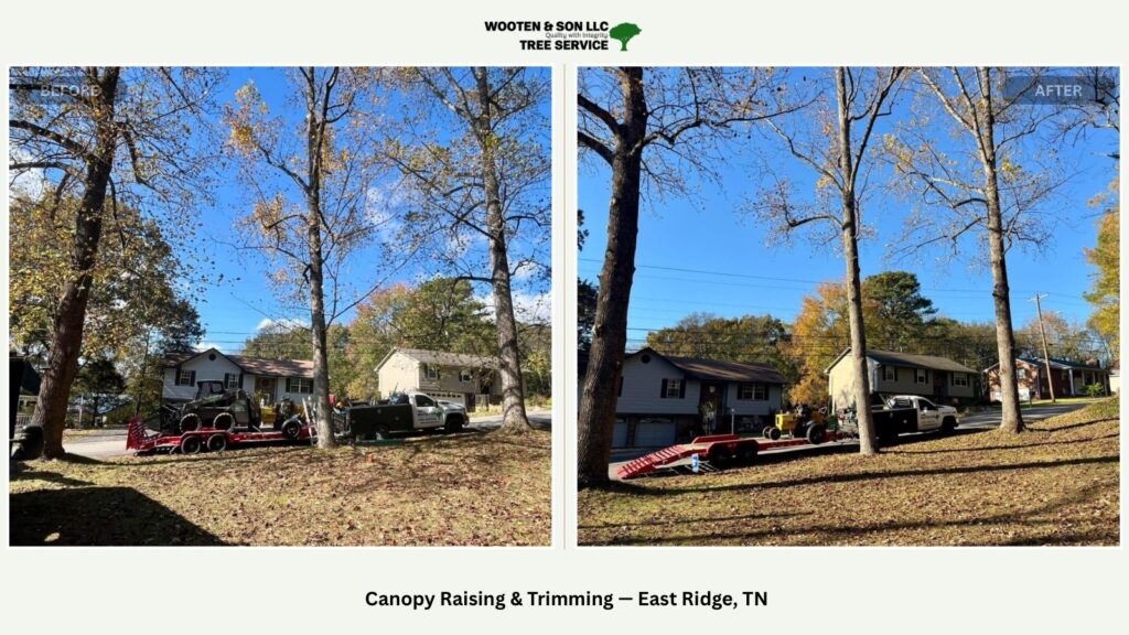 eastridge tn canopyraising